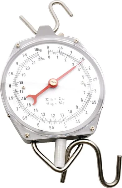 Kerbl - 486781 - Fast Scale 10 kg