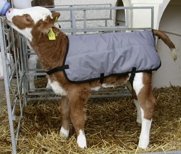 Kerbl - VV14156 - Calf Blanket 80cm