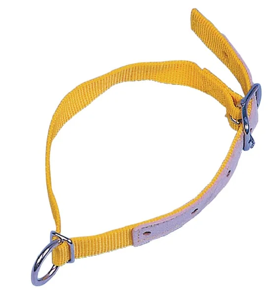 Kerbl - VV2710 - Neck Strap Yellow 60cm