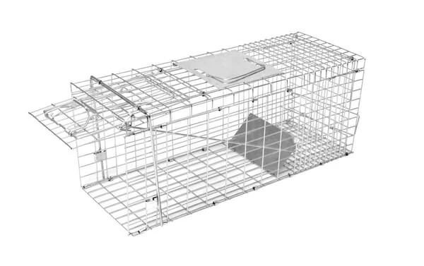 Kerbl - VV299678 - Box Trap Alive Predator