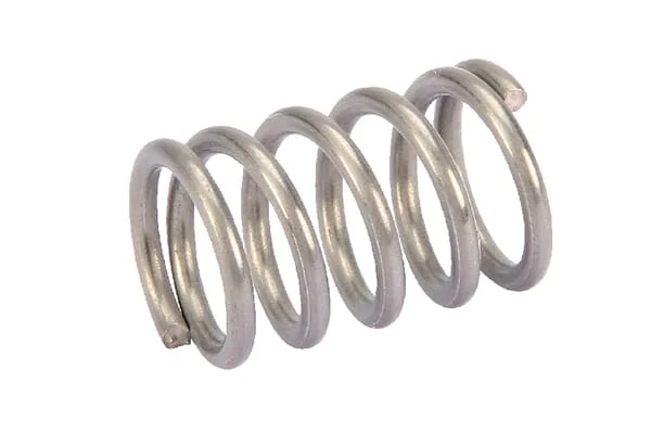 KUBOTA - RG00002603 - Filter Spring S / U2 Rau