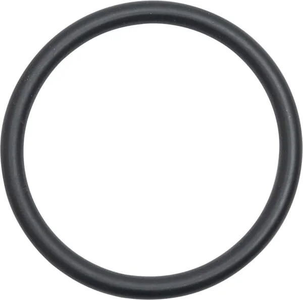 Landini - 1004637M1 - Oil Seal