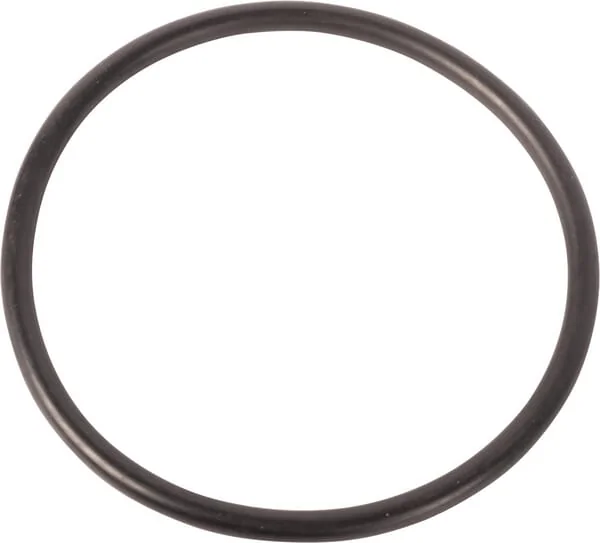 Landini - 1007241M1 - O-Ring