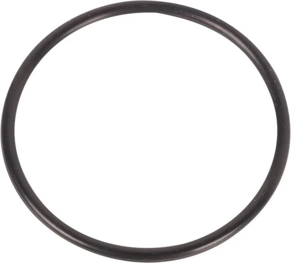 Landini - 3019666X1 - Gasket