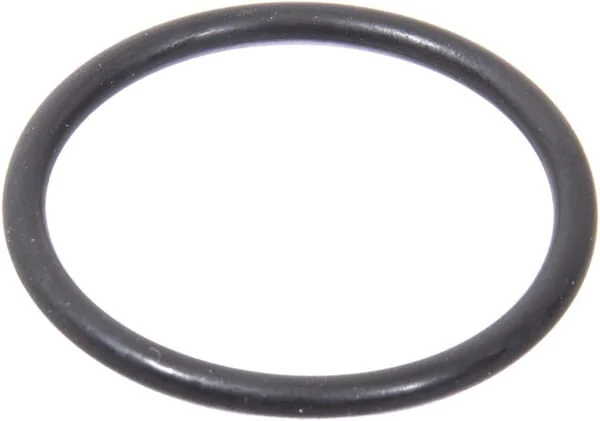 Landini - 3019919X1 - Ring