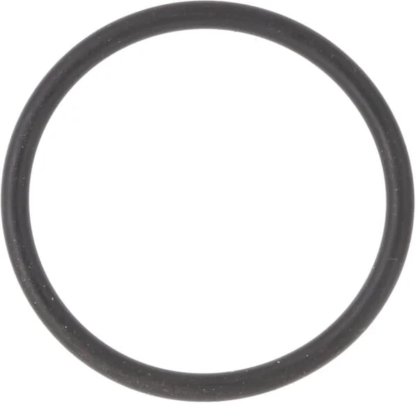 Landini - 3019920X1 - Ring