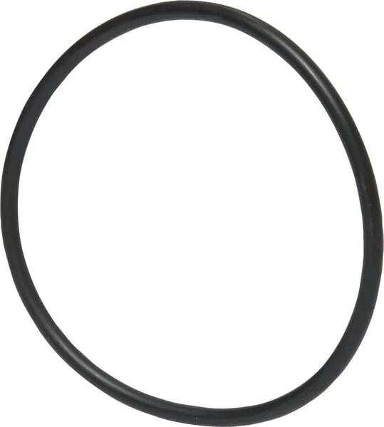 Landini - 3019925X1 - Ring
