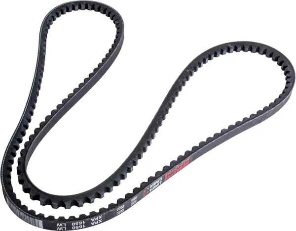 Landini - 3658394M1 - Belt