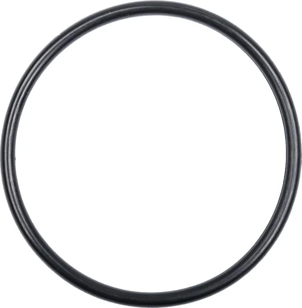 Landini - 394868X1 - Ring