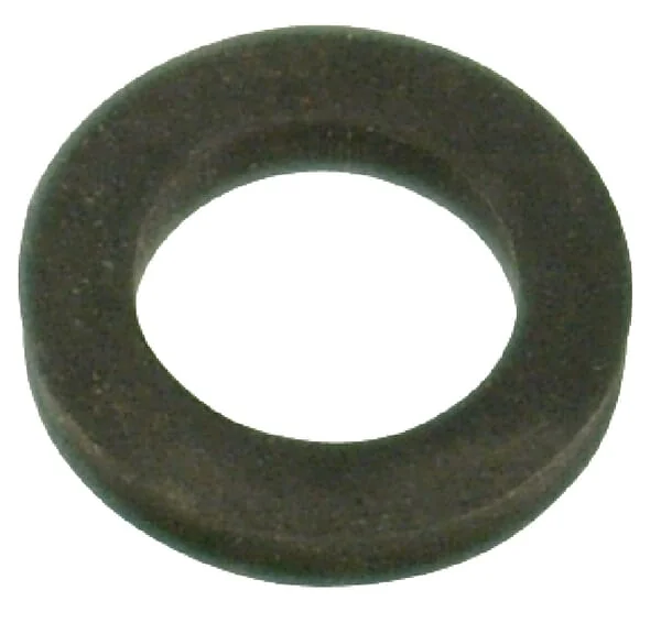 Lechler - 095015730461 - Seal For Type R 10mm Cap