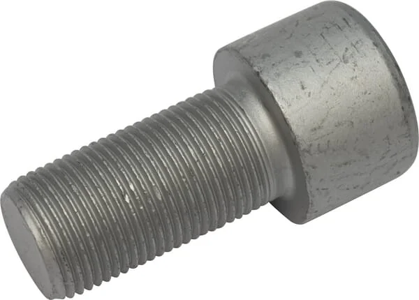 Lemken - 30110255 - Allen Screw M20x1.5x40-10.9