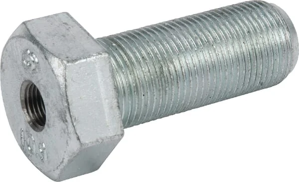 Lemken - 3014237 - Special Hexagonal Screw M20x1.5x5
