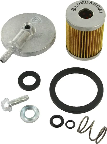 Lombardini - 3730028 - Fuel Filter Lombardini