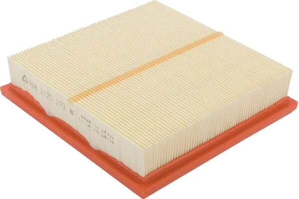 Lombardini - ED0021752730S - Air Filter Lombardini