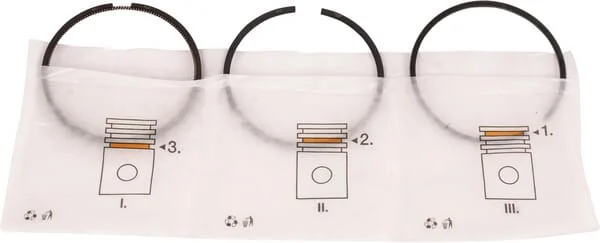 Lombardini - ED0082110560S - Standard Segment Set