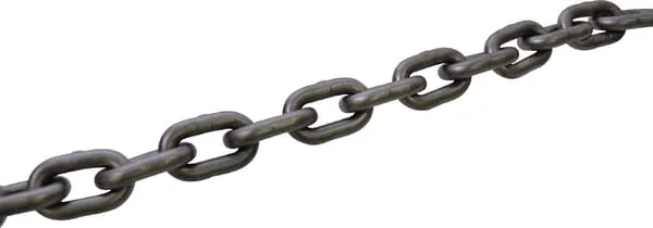 Lucas G - C308015 - Chain