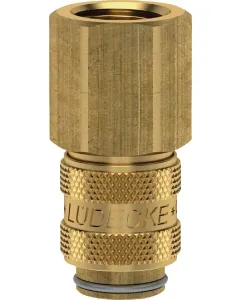 Luedecke - ESM18I - Luedecke Quick Coupling Bi.Dr. BSP 1/8