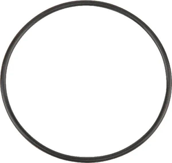 Manitou - MA563758 - O-Ring