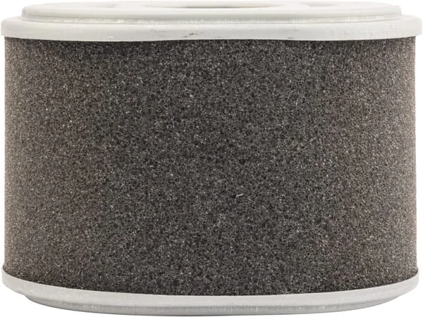 Mann Filter - C10015 - Air Filter