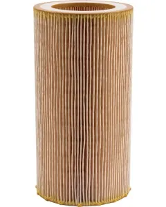 Mann Filter - C10050 - Air Filter Element