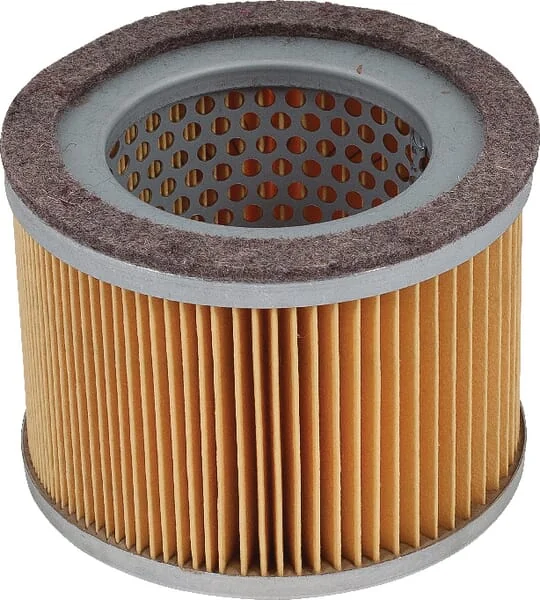 Mann Filter - C11122 - Air Filter Element