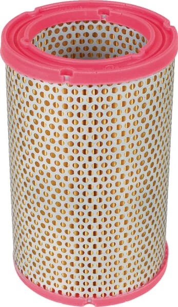 Mann Filter - C1134 - Air Filter Element