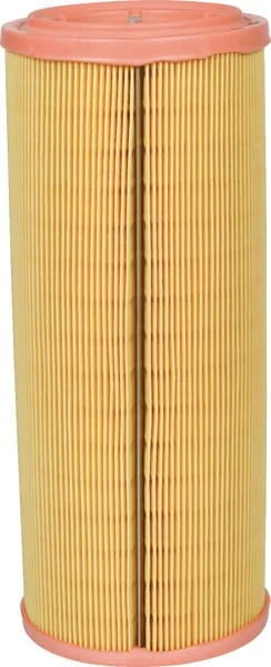 Mann Filter - C1189 - Air Filter Element