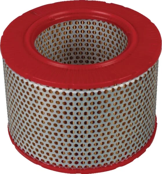 Mann Filter - C15556 - Air Filter Element