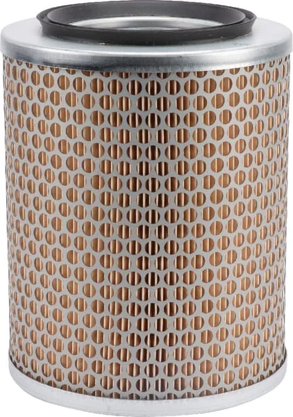 Mann Filter - C17134 - Air Filter Element
