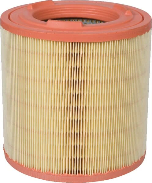 Mann Filter - C181491 - Air Filter Element