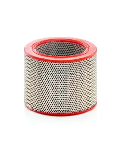 Mann Filter - C211381 - Air Filter