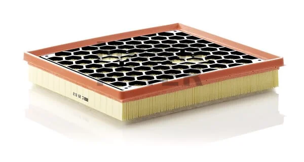 Mann Filter - C29012 - Air Filter