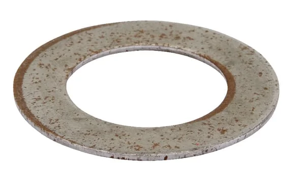 Maschio Gaspardo - 810655660 - Cover Disc