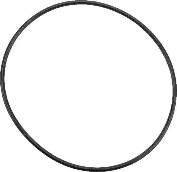 Maschio Gaspardo - 812085721X - Spring Ring