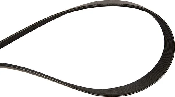 Maschio Gaspardo - F06010159R - Belt