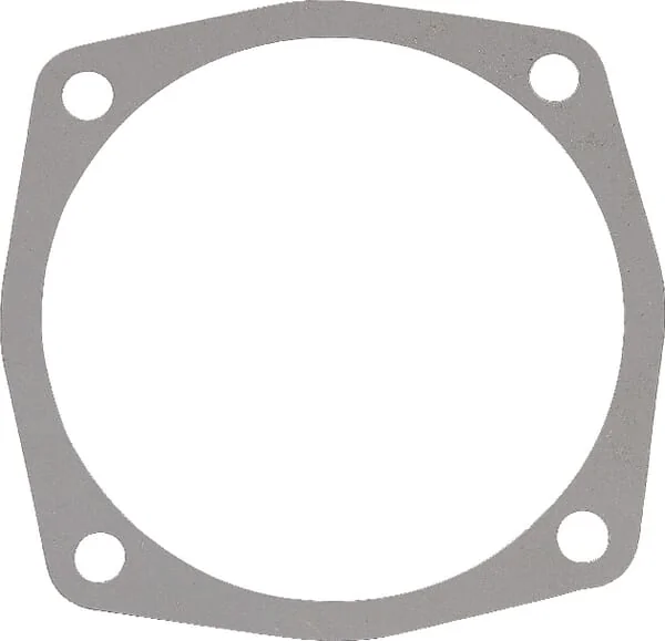 Maschio Gaspardo - M27100133R - Gasket 0.1 mm