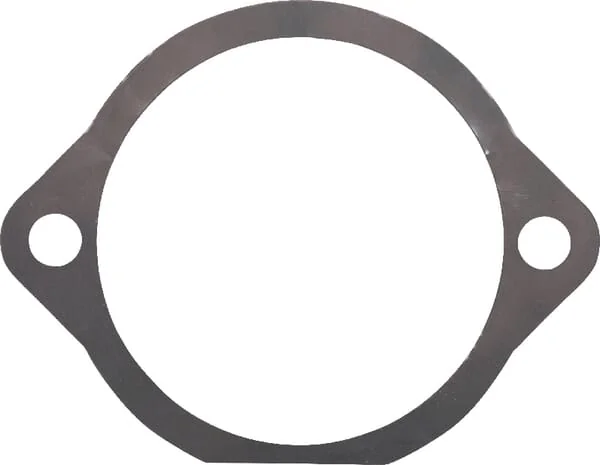 Maschio Gaspardo - M66100126R - Gasket 0.05 mm Maschio Gaspardo