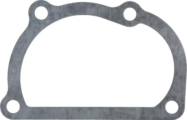 Mitsubishi - 32C4500500 - Water Pump Gasket Mitsubishi