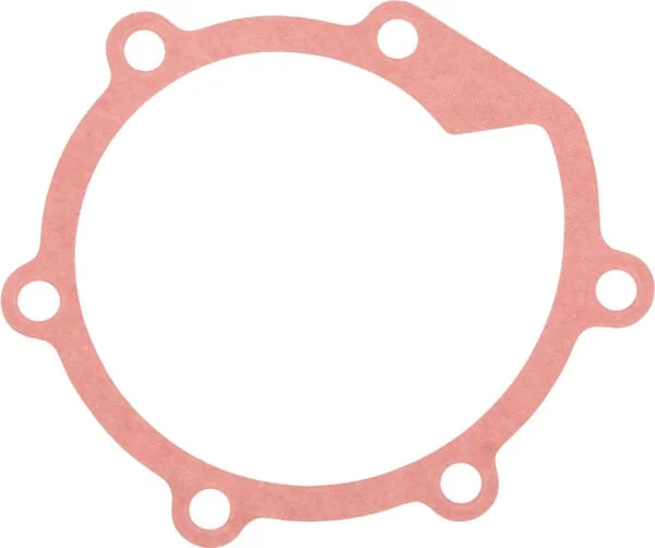 Mitsubishi - MM432136 - Water Pump Gasket Mitsubishi