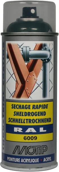 Motip - 07123 - RAL 6009 Spray Fir Green