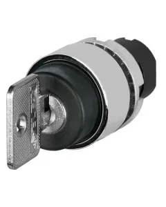 New Elfin - 020STACBWD - Switch 2 Position Key