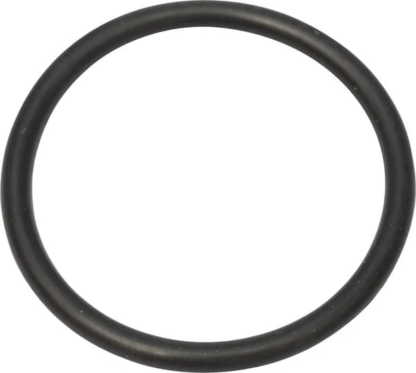 New Holland - 218774 - Ring