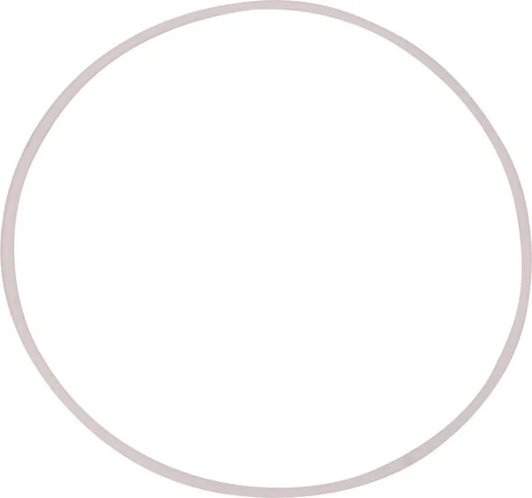 New Holland - 79035725 - Ring