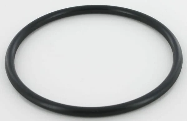 New Holland - 86625101 - Water Pump O-Ring CNH