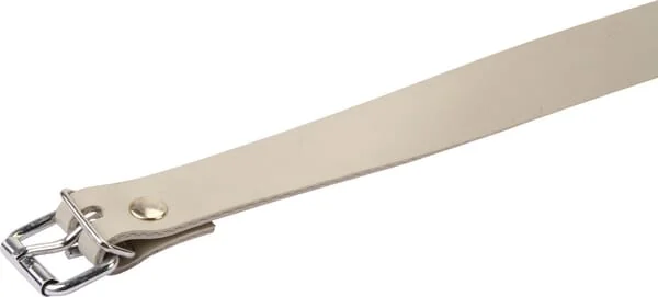 Non Branded - PL11276 - TIR Straps 800mm