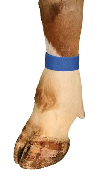 Non Branded - VV8132 - Blue Velcro Marking Bands 10 Pack