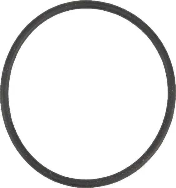 Peeters - 9104300021 - Sealing Ring OR 55.2x 3