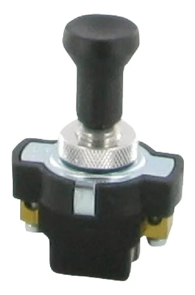 Pneutron - EL230010 - Switch, 12.5A 24V