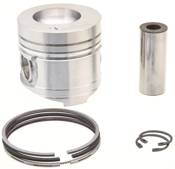 Raico - 00860060AN - Piston, Complete x 100