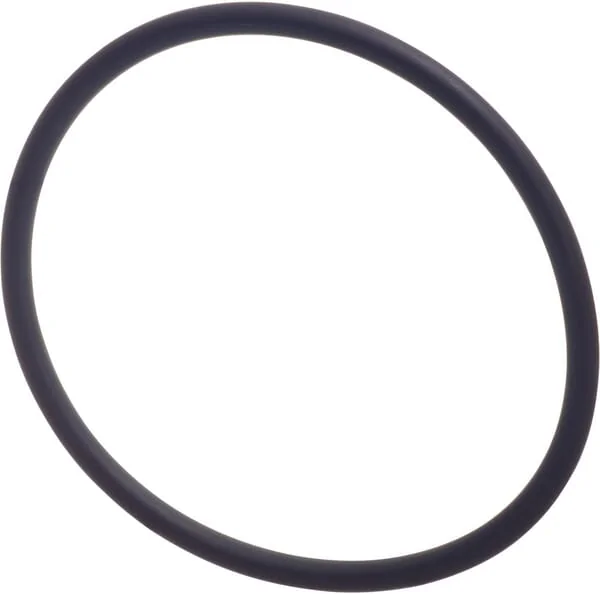 Raico - 3019929X1N - Seal Ring